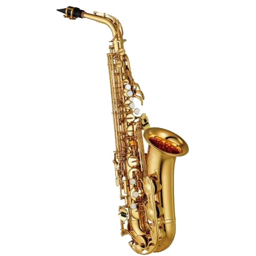 آموزشگاه-موسیقی-شمال-تهران-ناردونه-saxophone-آموزش-ساکسیفون