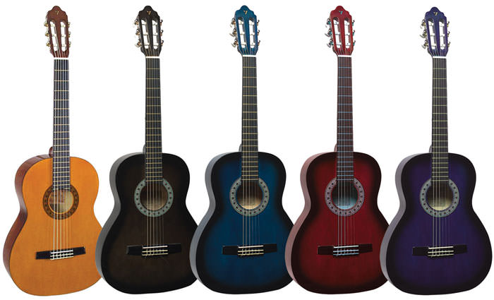 آموزش-و-تدریس-گیتار-انواع-و-مدل-های-گیتار