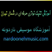 آموزش-تنبک-نوازی-حرفه-ای-در-شمال-تهران-بهترین-آموزشگاه-موسیقی-ثبت-نام-کلاس-سه-راه-اقدسیه-استاد-خانم-کودک-بزرگسال