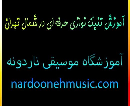 آموزش-تنبک-نوازی-حرفه-ای-در-شمال-تهران-بهترین-آموزشگاه-موسیقی-ثبت-نام-کلاس-سه-راه-اقدسیه-استاد-خانم-کودک-بزرگسال
