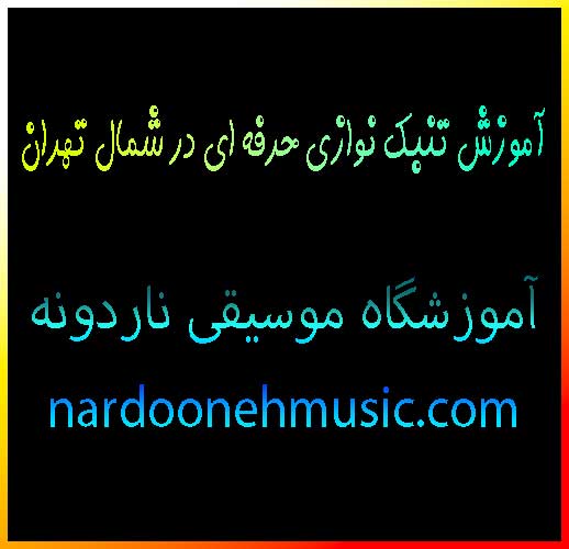 آموزش-تنبک-نوازی-حرفه-ای-در-شمال-تهران-بهترین-آموزشگاه-موسیقی-ثبت-نام-کلاس-سه-راه-اقدسیه-استاد-خانم-کودک-بزرگسال